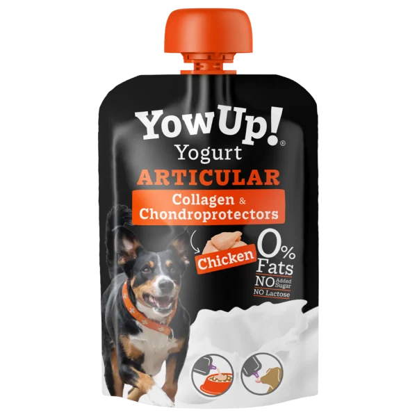 YowUp Yogurt Cane Articular