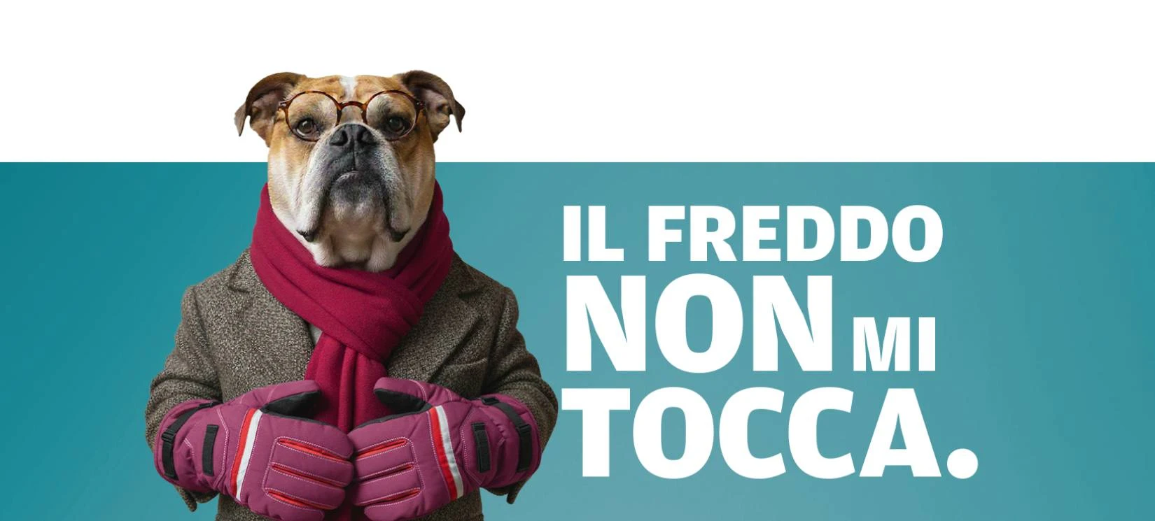 snowdog-desktop-slider-1-indodorina