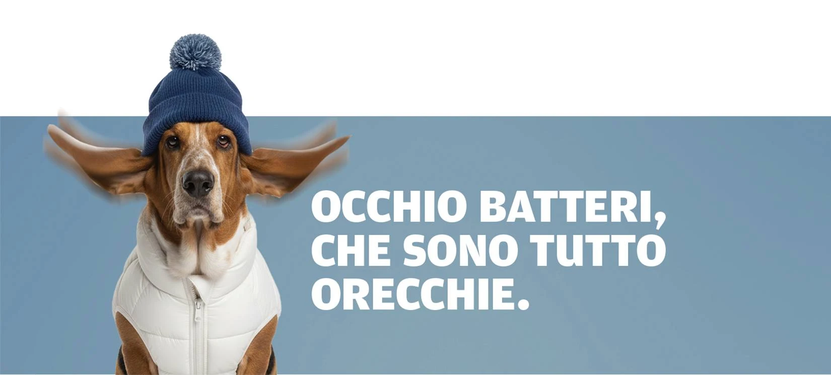 snowdog-desktop-slider-orecchie-inodorina