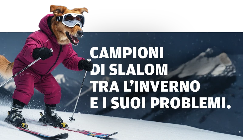 snowdog-slider-mobile-1-inodorina