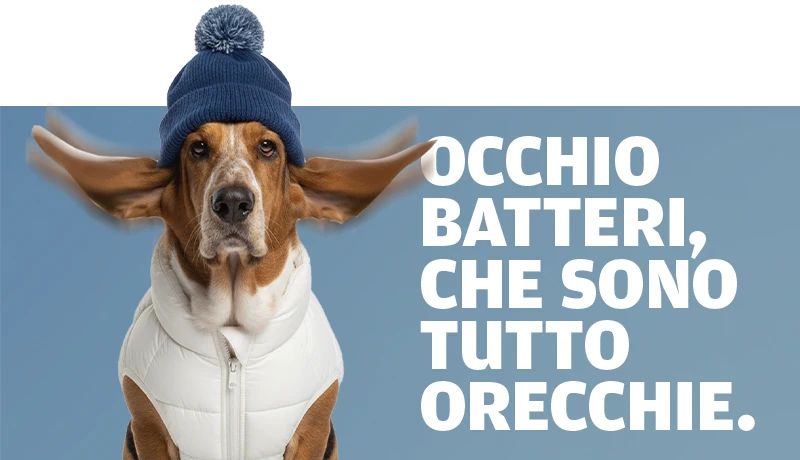 snowdog-slider-mobile-3-inodorina