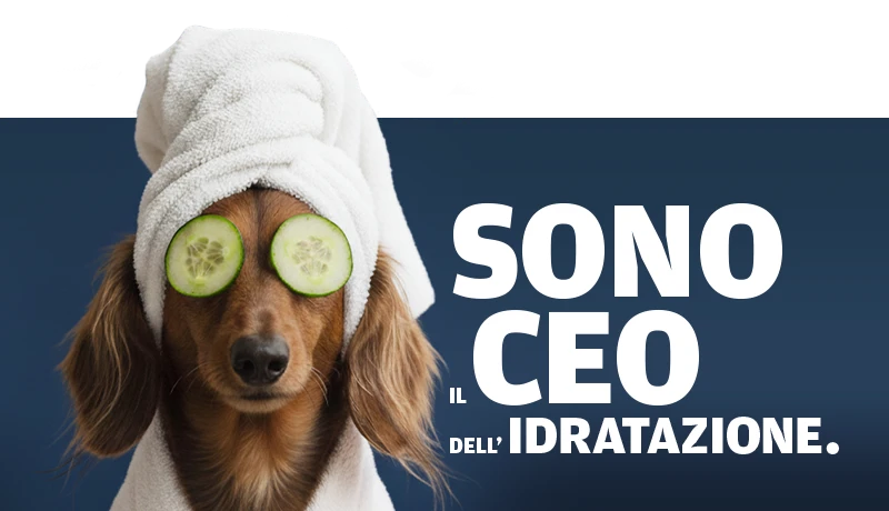 snowdog-slider-mobile-4-inodorina