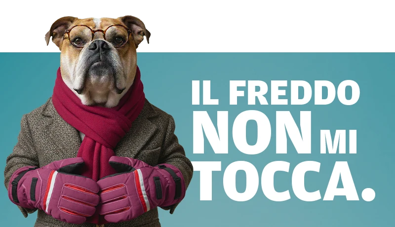 snowdog-slider-mobile-5-inodorina