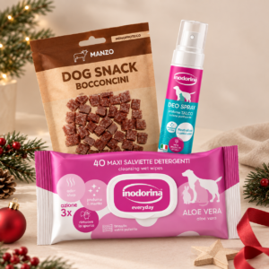 kit natale Cane